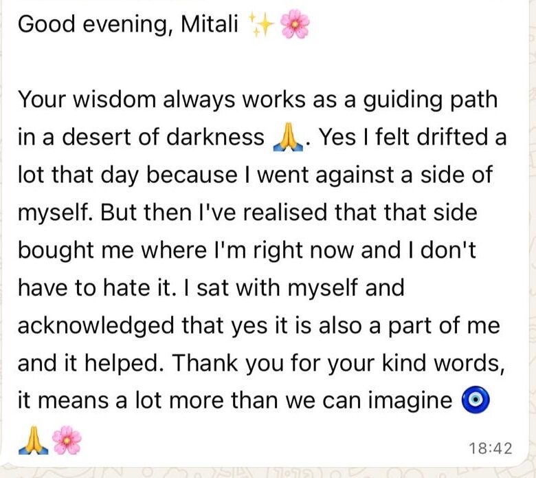 WhatsApp Image 2025-11-11 at 1.19.32 PM-2